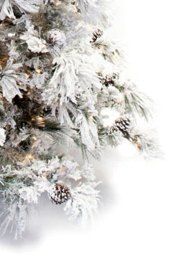 12' Flocked Pine Long Needle Prelit Artificial Christmas Tree -Chirst Seasonal Home Store 100120 2 93778.1546008964