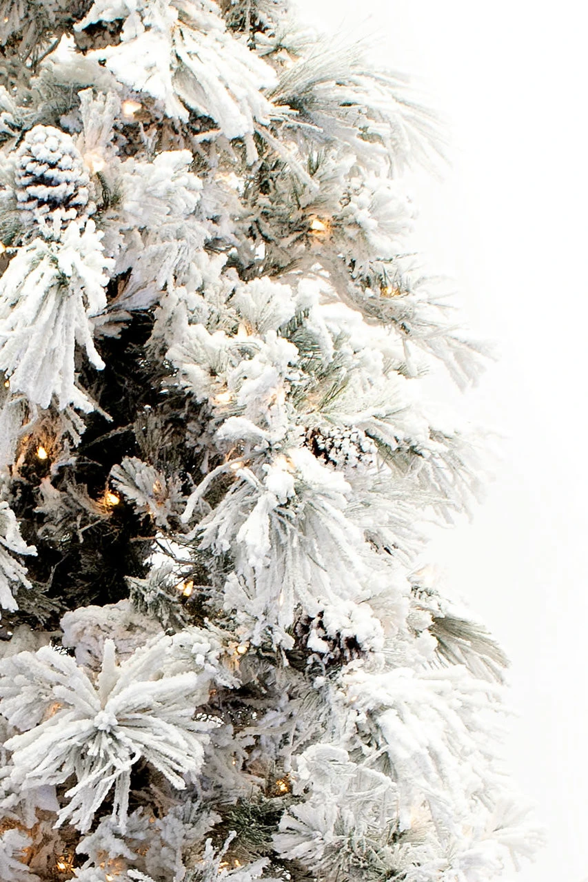 7.5' Flocked Pine Long Needle Prelit Artificial Christmas Tree 4 7.5' Flocked Pine Long Needle Prelit Artificial Christmas Tree - Image 4