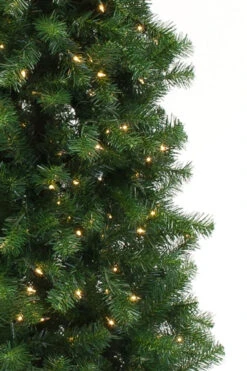 Chirst Seasonal Home Store -Chirst Seasonal Home Store 116607 3 10571.1470258109