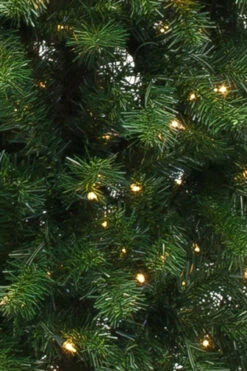 7.5' Augustine Prelit Artificial Christmas Tree Clear Lights -Chirst Seasonal Home Store 116607 5 86394.1470258110