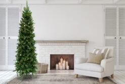 7.5' Augustine Prelit Artificial Christmas Tree Clear Lights -Chirst Seasonal Home Store 116607 Lifestyle 19333.1656709327