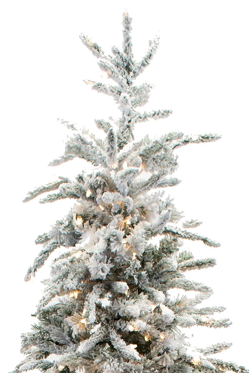 12' Flocked Balsam Pine Tree 2 12' Flocked Balsam Pine Tree - Image 2