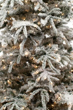 6.5' Flocked Balsam Pine Tree -Chirst Seasonal Home Store 123199 4 85452.1552670758.1280.1280 69661.1635194295