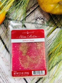 Candle Warmers Artisan Soy Wax Melt Apple Crisp Set Of 4 9 Candle Warmers Artisan Soy Wax Melt Apple Crisp Set Of 4 -Chirst Seasonal Home Store 3010S 5 47907.1692304548