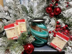 Candle Warmers Artisan Soy Wax Melt Candy Cane Crunch Set Of 4 -Chirst Seasonal Home Store 3047S 4 48733.1692287886