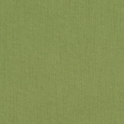 Sunbrella Spectrum Cilantro Fabric