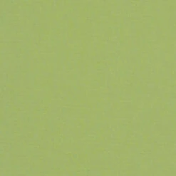 Sunbrella Canvas Gingko Fabric