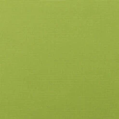 Sunbrella Canvas Macaw Fabric