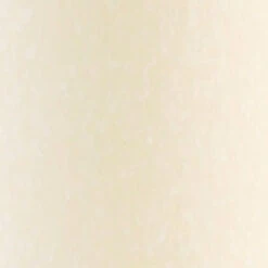 Root Unscented Timberline Collenettes Dinner Candles, 7-Inch Tall, Box Of 4, Ivory -Chirst Seasonal Home Store 58917AI 7 70813.1696356369