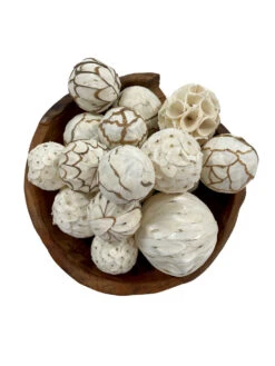 Mixed Texture Orbs Carton Large 15pc Natural -Chirst Seasonal Home Store 62330 3 51177.1675718119