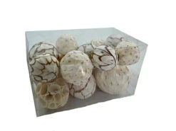 Mixed Texture Orbs Carton Large 15pc Natural