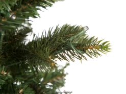 7.5' Slim Canadian Balsam Fir EasyLite -Chirst Seasonal Home Store 7.5 Slim Canadian Balsam Close Off 73321.1557935497