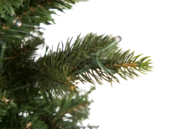 9' ForeverTree Slim Canadian Balsam Fir EasyLite 14 9' ForeverTree Slim Canadian Balsam Fir EasyLite -Chirst Seasonal Home Store 7.5 Slim Canadian Balsam Close Off 73321.1557935497.1280.1280 29581.1564519184