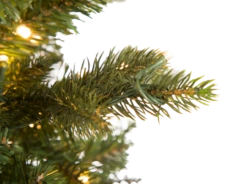 7.5' Slim Canadian Balsam Fir EasyLite -Chirst Seasonal Home Store 7.5 Slim Canadian Balsam Close On 10780.1557935492