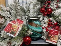 Candle Warmers Soy Wax Melts Christmas Magic Set Of 4 -Chirst Seasonal Home Store 7182S 4 00472.1692287925