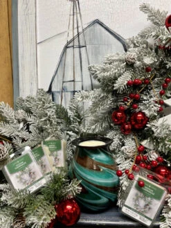 Candle Warmers Soy Wax Melts Festive Farmhouse Set Of 4 -Chirst Seasonal Home Store 7333S 4 12709.1692220792