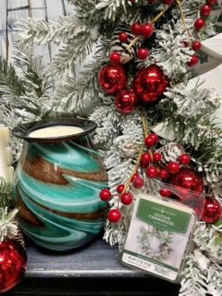 Candle Warmers Soy Wax Melts Festive Farmhouse Set Of 4 -Chirst Seasonal Home Store 7333S 5 83719.1692220792