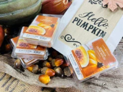 Candle Warmers Soy Wax Melts Pumpkin Creme Brulee Set Of 4 -Chirst Seasonal Home Store 7733S 4 78427.1692291554