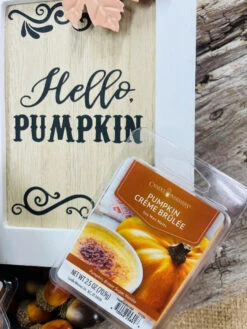 Candle Warmers Soy Wax Melts Pumpkin Creme Brulee Set Of 4 -Chirst Seasonal Home Store 7733S 5 23215.1692291554