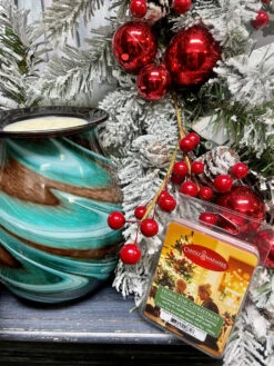 Candle Warmers Soy Wax Melts Home For Christmas Set Of 4 -Chirst Seasonal Home Store 7965S 5 68683.1692287969