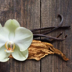 Root Candles Honeycomb Traveler Scented Beeswax Blend Candle, Tobacco Vanilla 4-Ounce -Chirst Seasonal Home Store 8864322AI 4 80145.1696362472