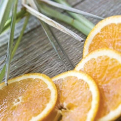 Root Candles 887341 Honeycomb Veriglass Scented Beeswax Blend Candle, Small, Tangerine Lemongrass -Chirst Seasonal Home Store 887341AI 4 53613.1696363118