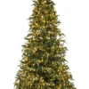 7.5' ForeverTree Slim Carolina Fraser Fir