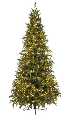 9' ForeverTree Slim Carolina Fraser Fir