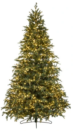 7.5' ForeverTree Carolina Fraser Fir