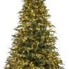 9' ForeverTree Carolina Fraser Fir