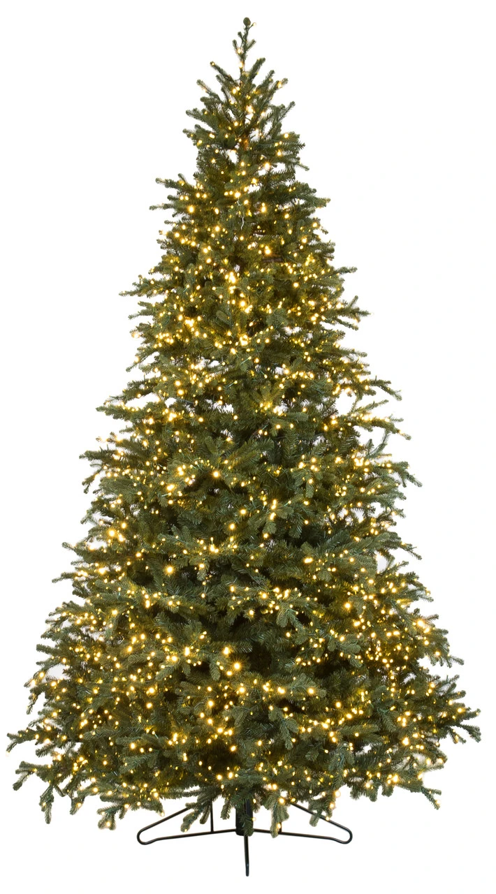 9' ForeverTree Carolina Fraser Fir 1 9' ForeverTree Carolina Fraser Fir