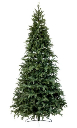 Chirst Seasonal Home Store -Chirst Seasonal Home Store 96521 Fresh Cut Carolina Frasier Fir 3w SLIM 46579.1542295967