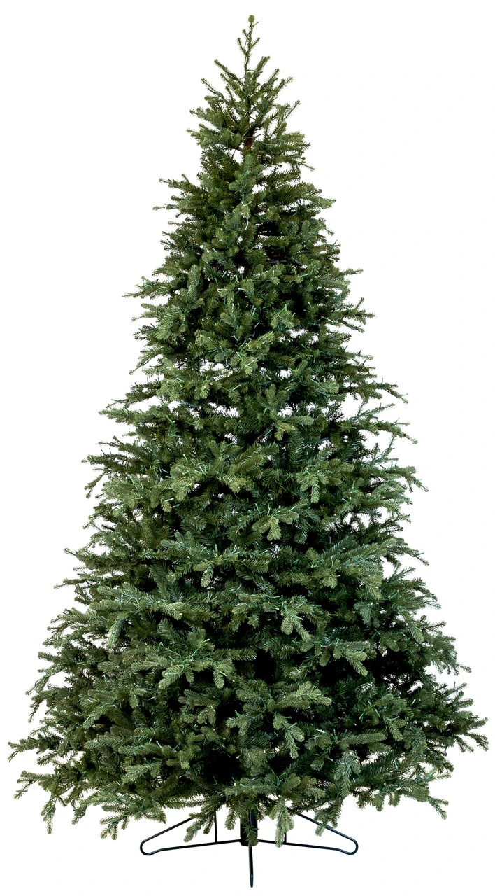 9' ForeverTree Carolina Fraser Fir 2 9' ForeverTree Carolina Fraser Fir - Image 2