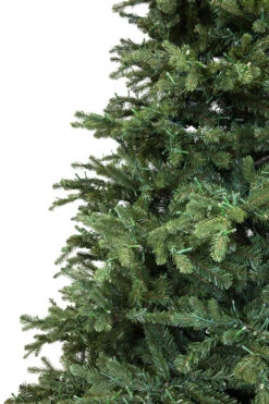 7.5' ForeverTree Carolina Fraser Fir -Chirst Seasonal Home Store 96521 Fresh Cut Carolina Frasier Fir 4w 21147.1558358295