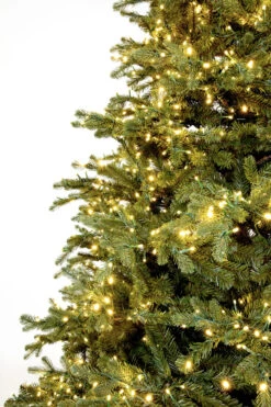 12' ForeverTree Slim Carolina Fraser Fir -Chirst Seasonal Home Store 96521 Fresh Cut Carolina Frasier Fir 6w 00368.1530907735