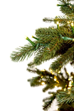 7.5' ForeverTree Carolina Fraser Fir -Chirst Seasonal Home Store 96521 Fresh Cut Carolina Frasier Fir 7w 44163.1558358295