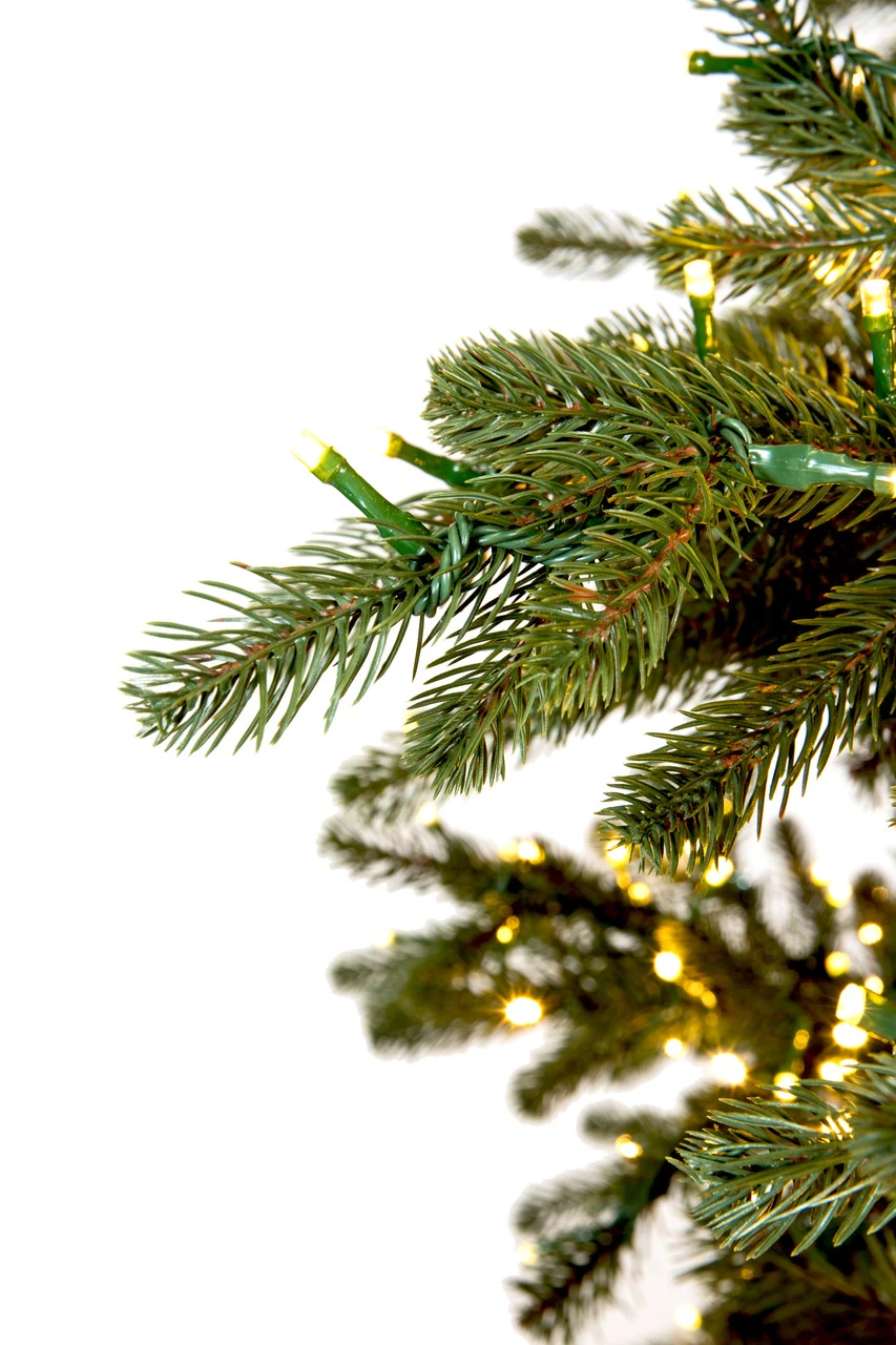 9' ForeverTree Carolina Fraser Fir 5 9' ForeverTree Carolina Fraser Fir - Image 5