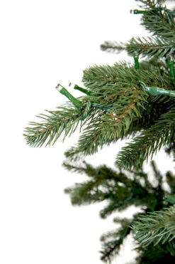 7.5' ForeverTree Carolina Fraser Fir -Chirst Seasonal Home Store 96521 Fresh Cut Carolina Frasier Fir 9w 36307.1558358295