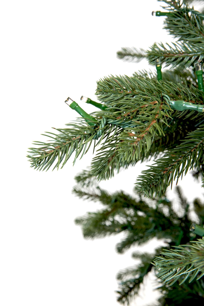 9' ForeverTree Carolina Fraser Fir 6 9' ForeverTree Carolina Fraser Fir - Image 6