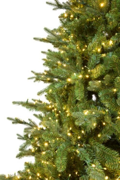 9' ForeverTree Slim Canadian Balsam Fir -Chirst Seasonal Home Store 96541 Fresh Cut Canadian Balsam Fir 3w 91511.1530983574