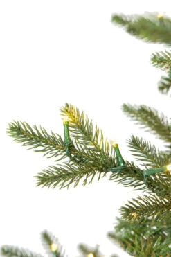 9' ForeverTree Slim Canadian Balsam Fir -Chirst Seasonal Home Store 96541 Fresh Cut Canadian Balsam Fir 6w 22989.1530983601