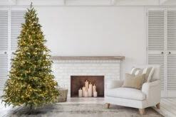 12' ForeverTree Slim Carolina Fraser Fir -Chirst Seasonal Home Store 96695 96696 95094.1656696296
