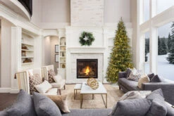 12' ForeverTree Slim Carolina Fraser Fir -Chirst Seasonal Home Store 96994 96995 96996 LS 68068.1672784573