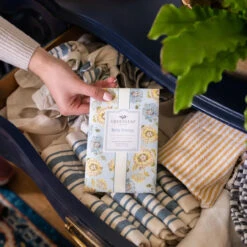 Greenleaf Sachet 6 Pack Bella Freesia 11 Greenleaf Sachet 6 Pack Bella Freesia -Chirst Seasonal Home Store GLG900518 6 22057.1694720904