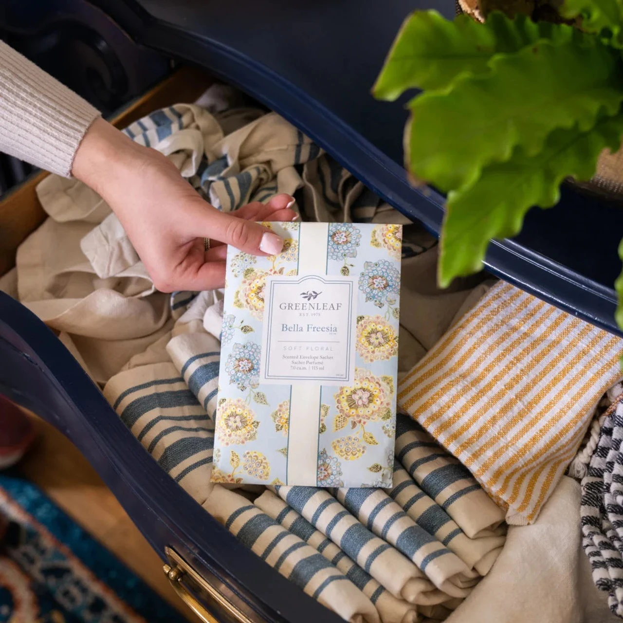 Greenleaf Sachet 6 Pack Bella Freesia 6 Greenleaf Sachet 6 Pack Bella Freesia - Image 6