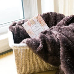 Greenleaf Sachet 6 Pack Cashmere Kiss -Chirst Seasonal Home Store GLG900522 3 83382.1694721736