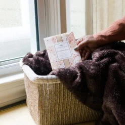 Greenleaf Sachet 6 Pack Cashmere Kiss -Chirst Seasonal Home Store GLG900522 4 54744.1694721736