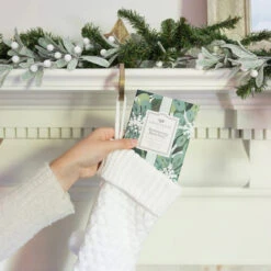 Greenleaf Sachet 6 Pack Shimmering Snowberry -Chirst Seasonal Home Store GLG900558 3 51598.1696885306