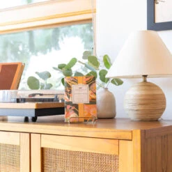 Chirst Seasonal Home Store -Chirst Seasonal Home Store GLG900565 2 24848.1696883195