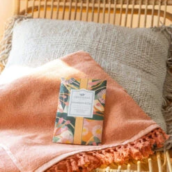 Greenleaf Sachet 6 Pack Gooseberry Fig 11 Greenleaf Sachet 6 Pack Gooseberry Fig -Chirst Seasonal Home Store GLG900565 6 25110.1696883195